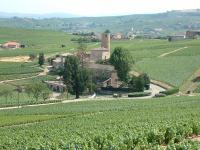 Saint Etienne La Varenne et ses �tendues de vignes