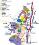 Le vignoble Beaujolais