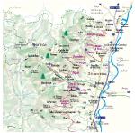 Le Beaujolais viticole
