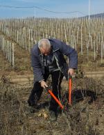 Travaux d'hiver � Saint Etienne La Varenne