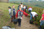Vendanges communales